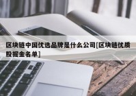 区块链中国优选品牌是什么公司[区块链优质股掘金名单]